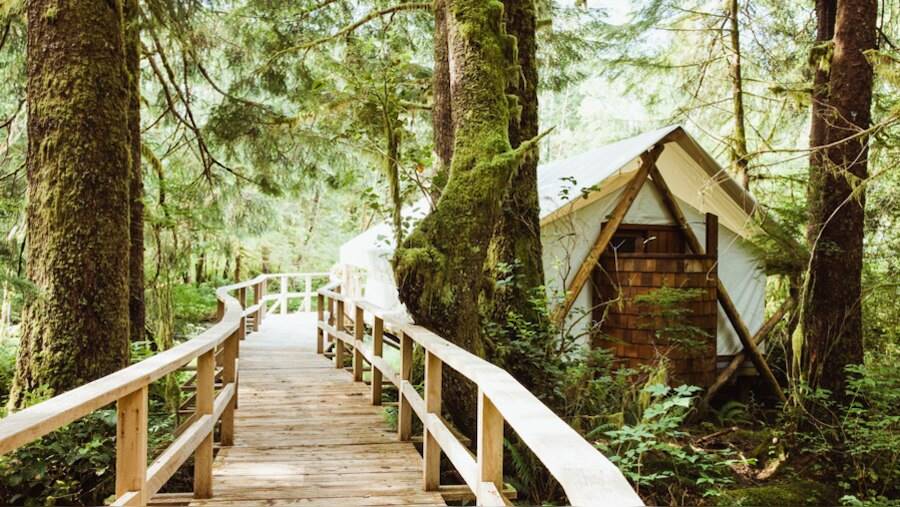 Clayoquot Wilderness en Tofino