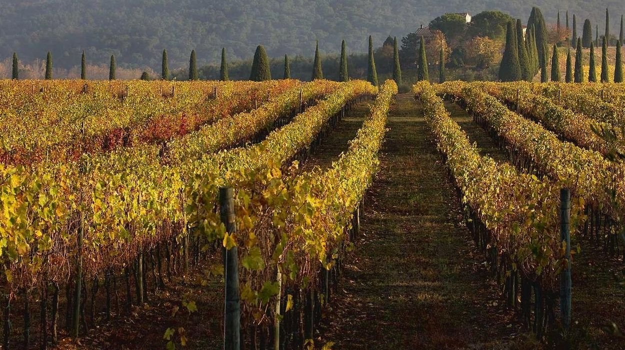 Castelló di Gabbiano en Toscana