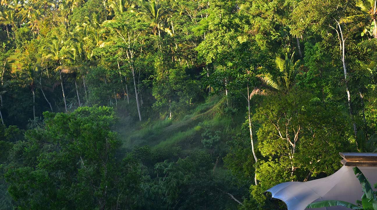 Capella Ubud en Ubud