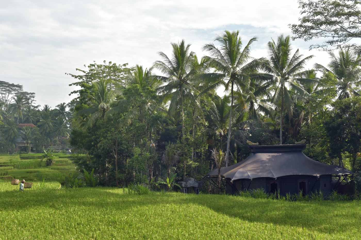 Capella Ubud en Ubud