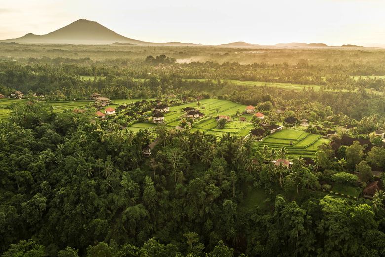 Como UMA Ubud en Ubud
