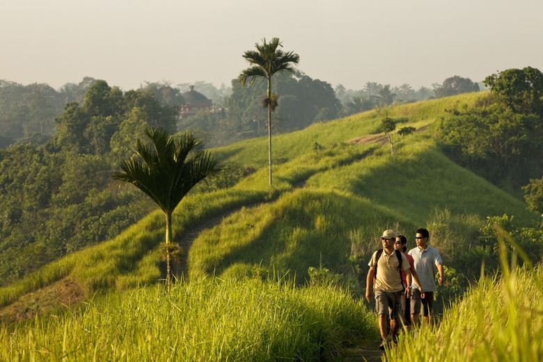 Como UMA Ubud en Ubud