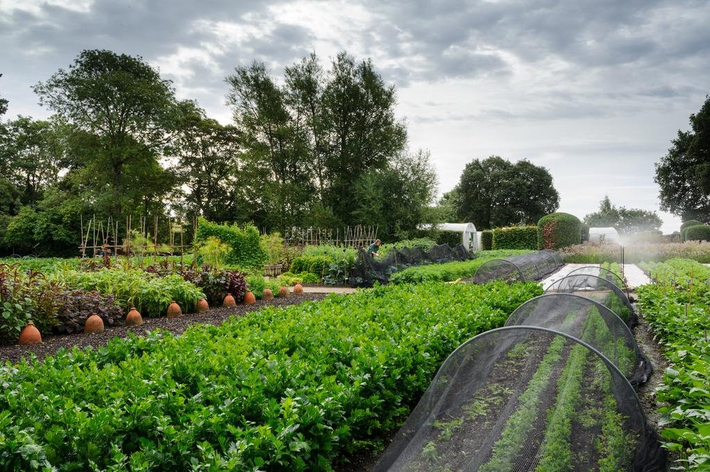 Belmond Le Manoir aux Quat Saisons en United Kingdom