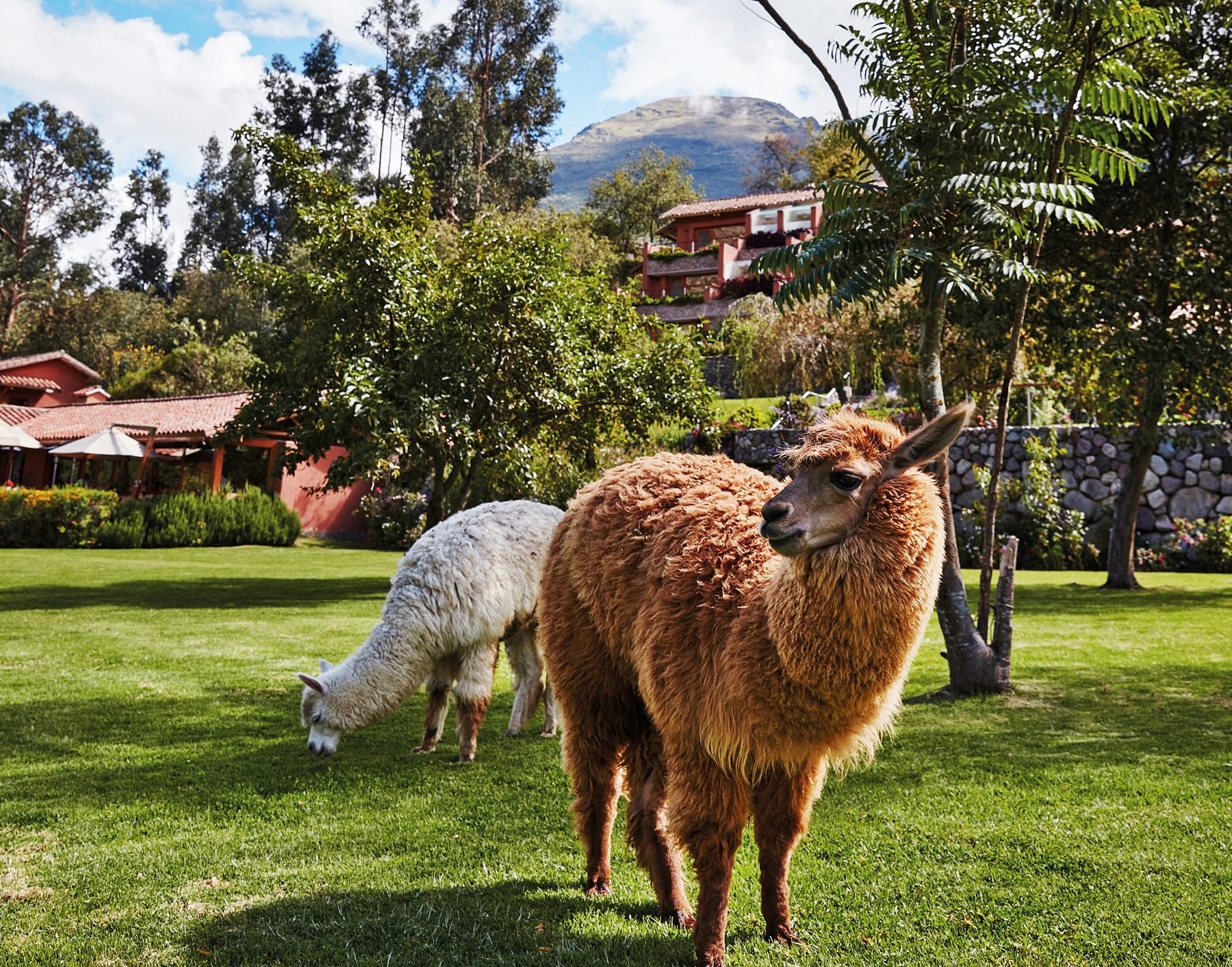 Belmond Hotel Rio Sagrado en Valle Sagrado