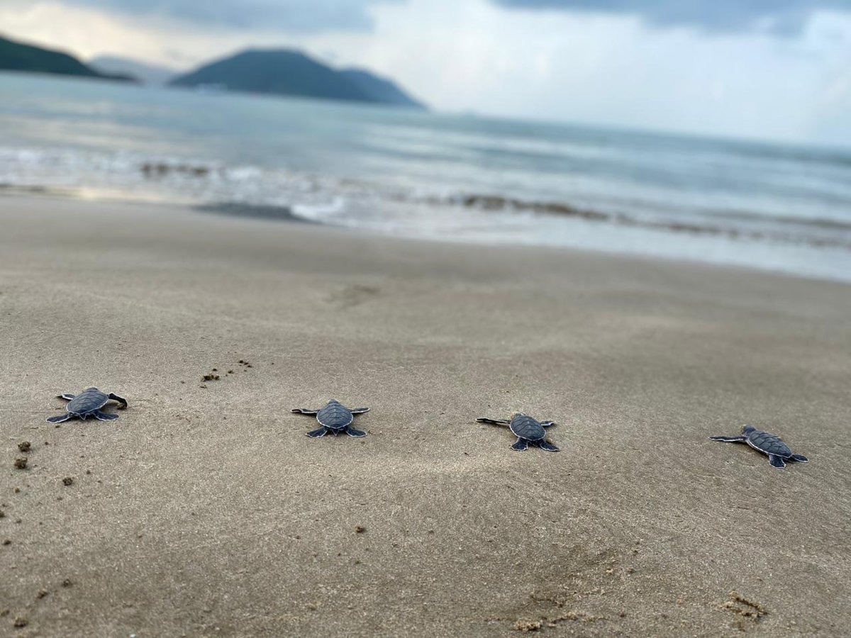 Six Senses Con Dao en Vietnam