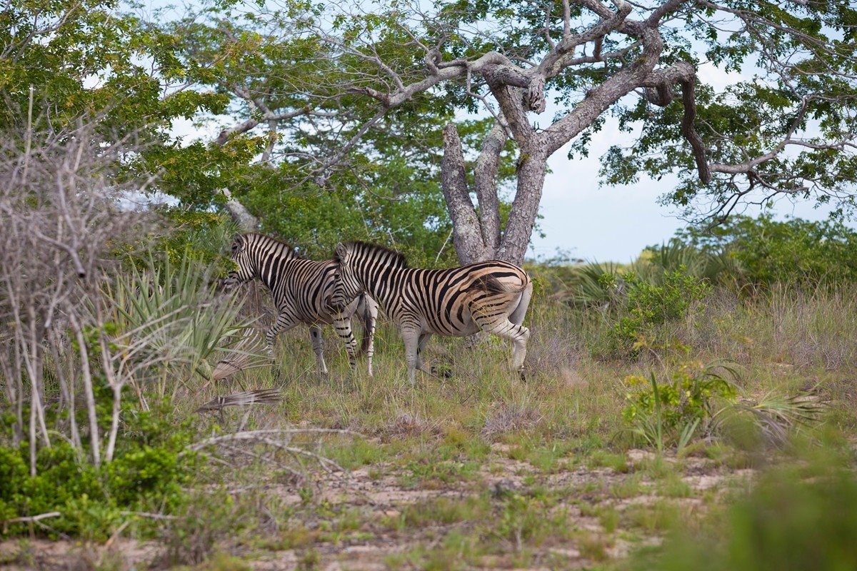 Azulik Lodge en Vilanculos