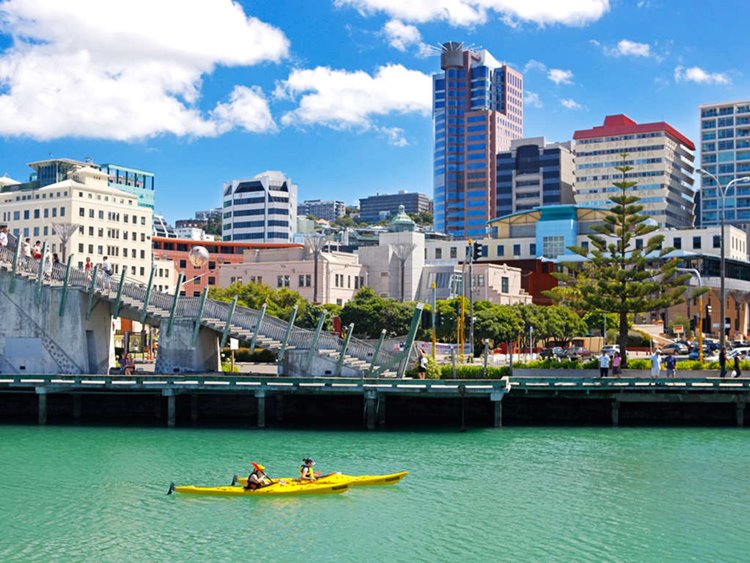 Wellington | LAT.40