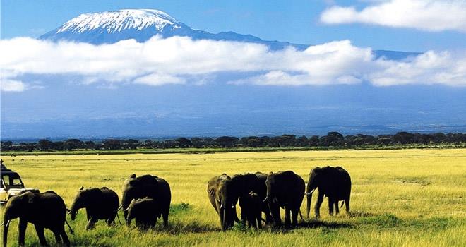 Elewana Tortilis Camp en Amboseli