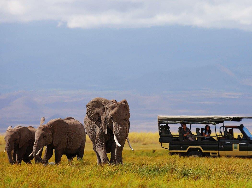 Elewana Tortilis Camp en Amboseli