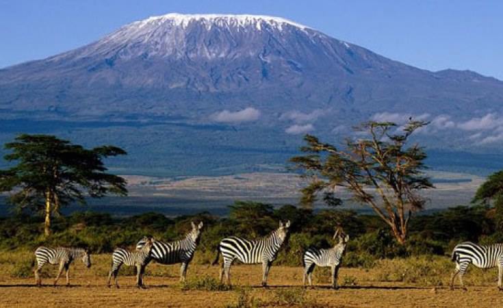 Elewana Tortilis Camp en Amboseli