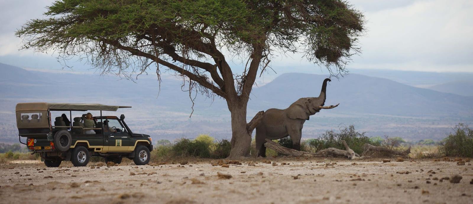Elewana Tortilis Camp en Amboseli
