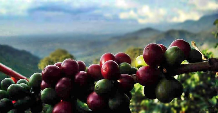 Imagen de viaje LAT.40