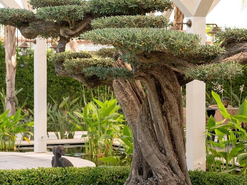 Biblos Resort Alaçatı en Turkey
