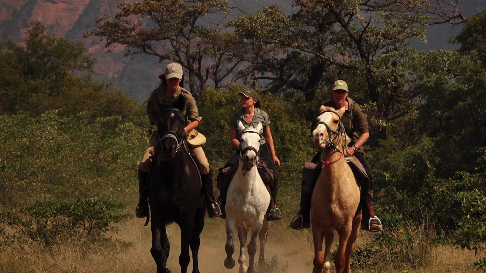 Imagen de viaje LAT.40