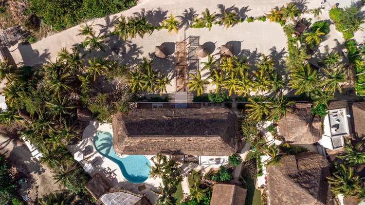 Ser Casasandra en Holbox