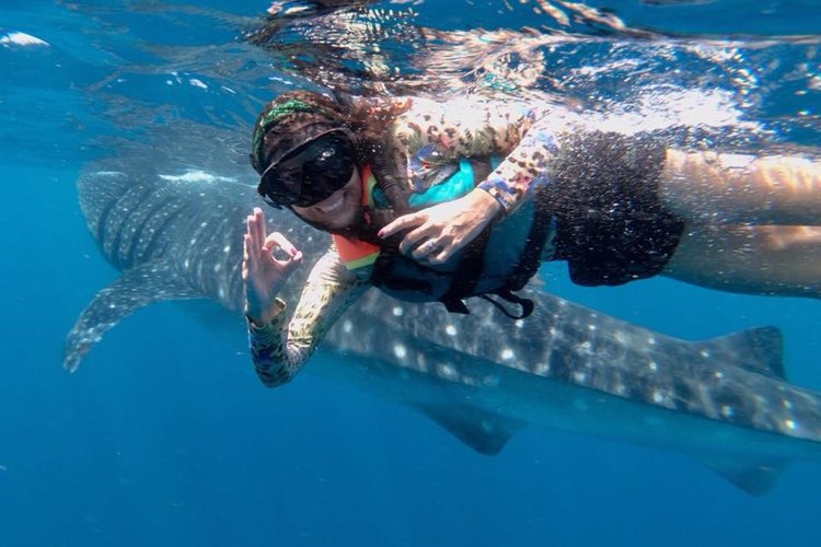 Ser Casasandra en Holbox