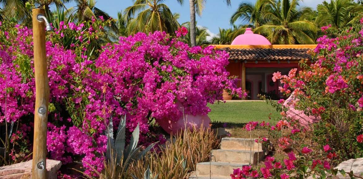 Las Alamandas en Mexico