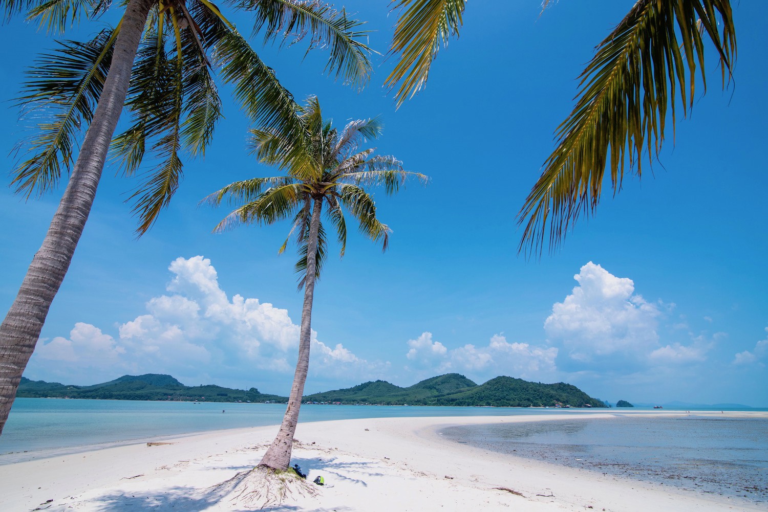 Koh Yao Noi | LAT.40