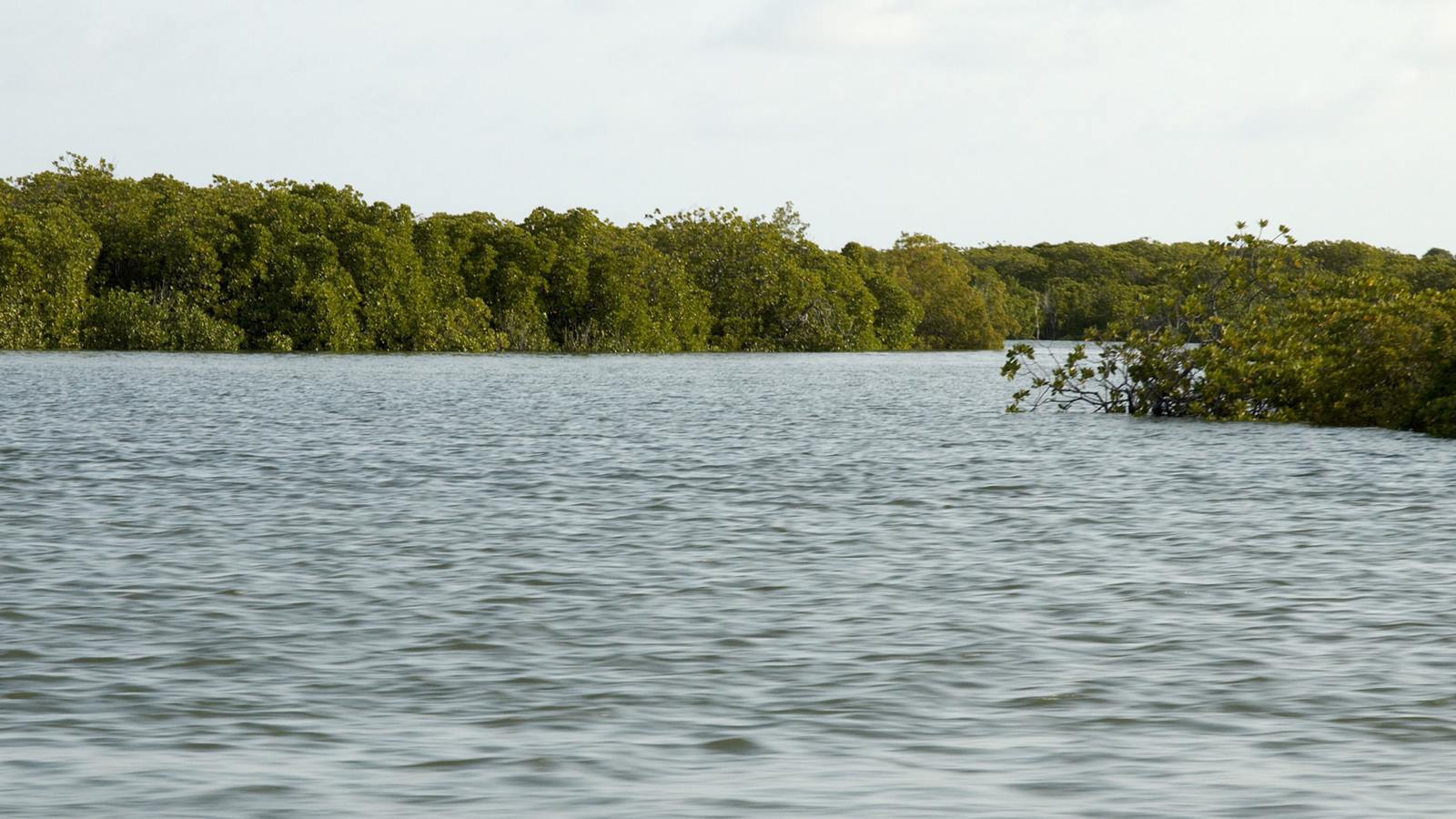 The Red Pepper House en Lamu