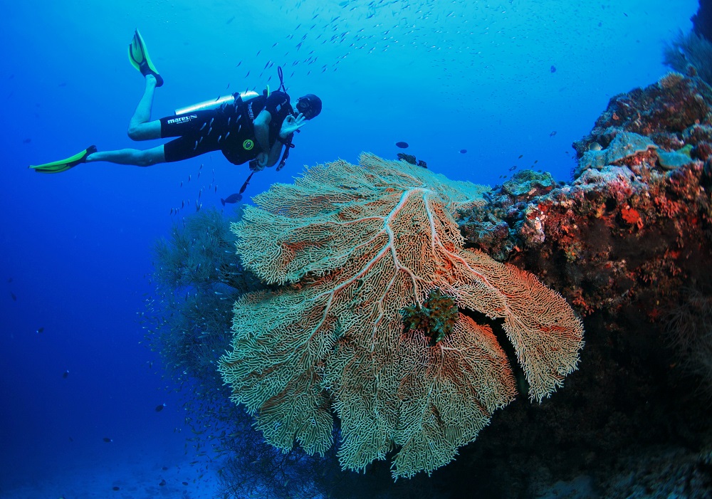 Amilla Maldives en Baa Atoll