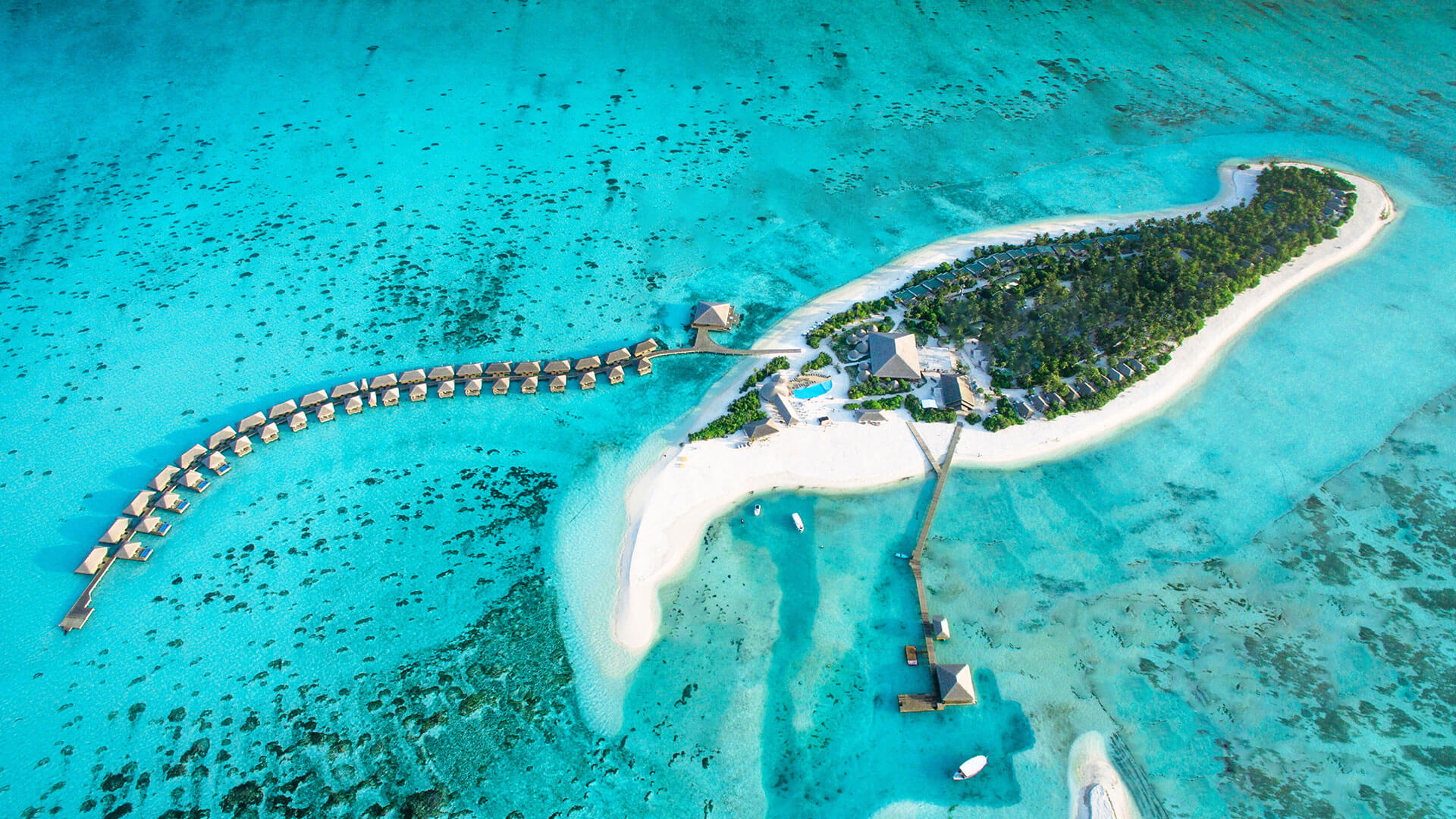 Cocoon Maldives en Lhaviyani Atoll