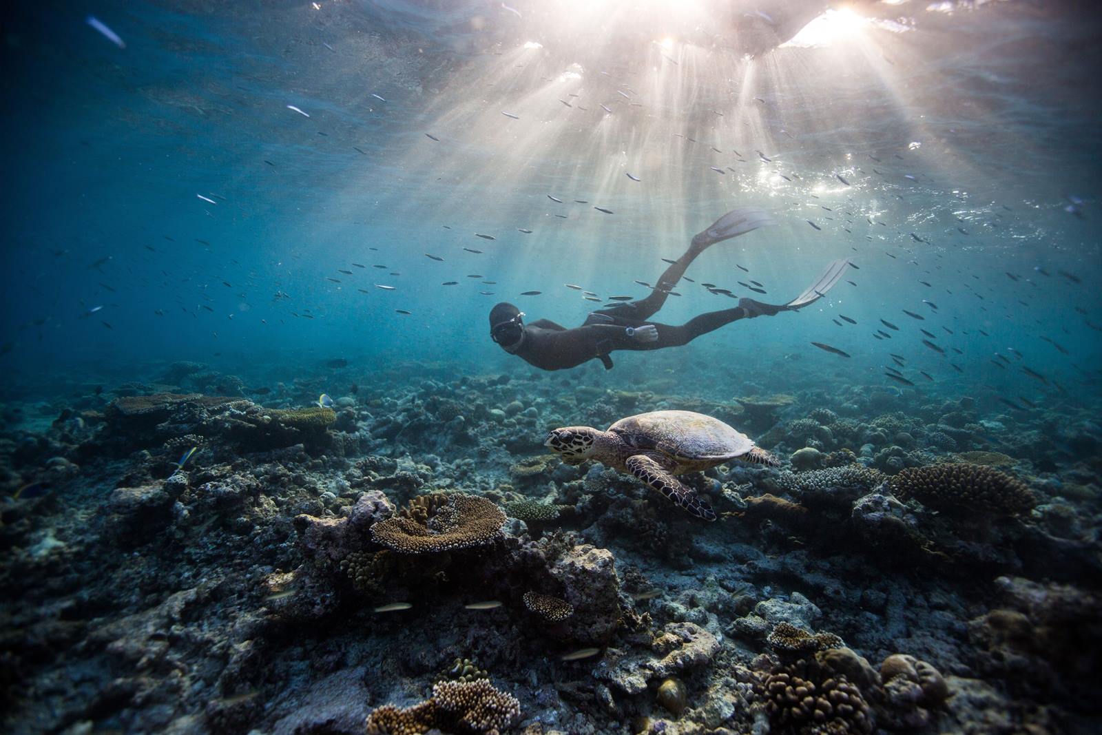 Dusit Thani Maldives en Baa Atoll