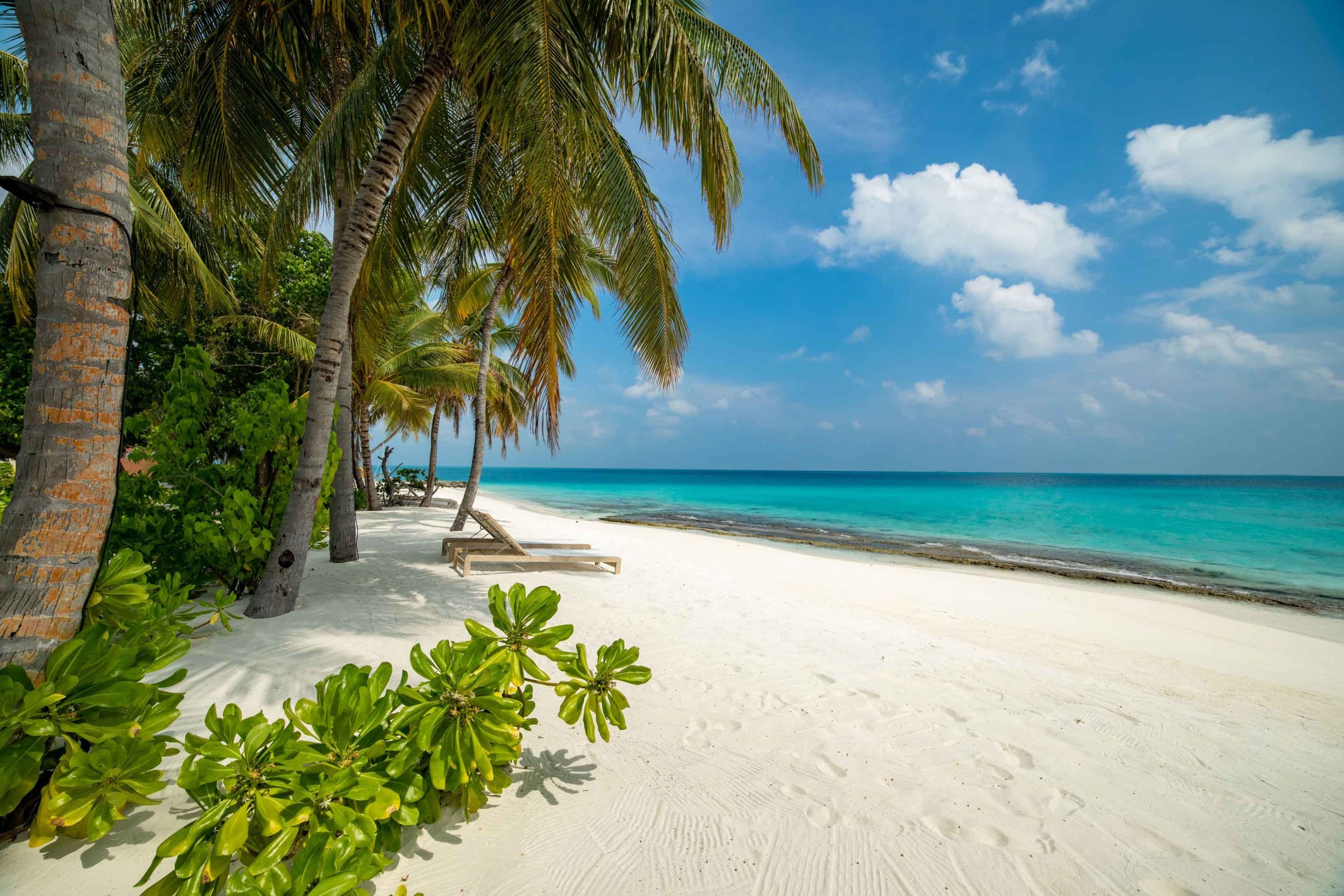Fiyavalhu Maldives en South Ari Atoll