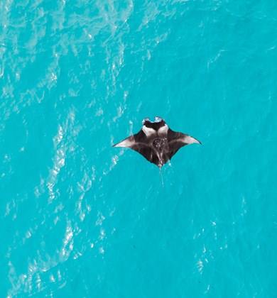LUX* SOUTH ARI ATOLL en South Ari Atoll