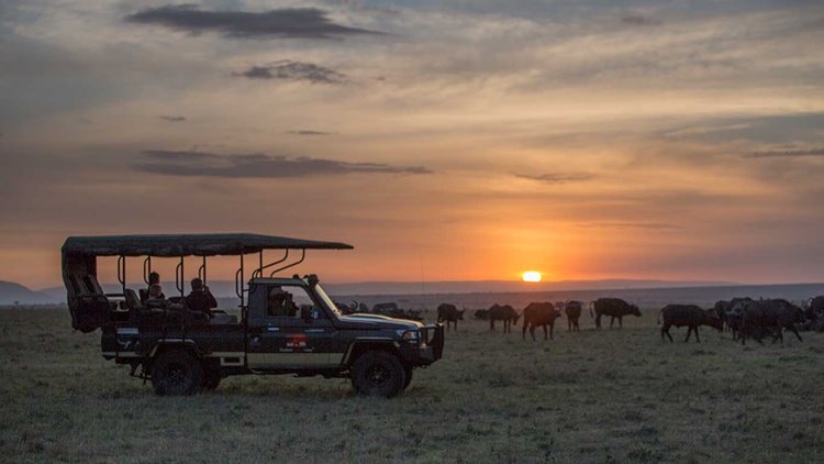 Elephant Pepper Camp by Elewana en Masai Mara
