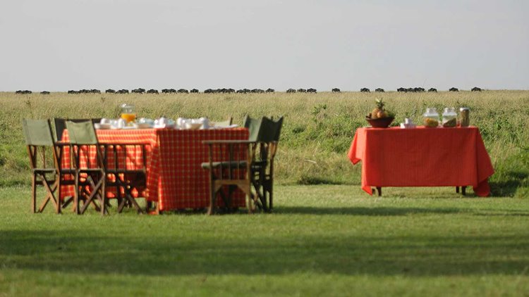 Elephant Pepper Camp by Elewana en Masai Mara