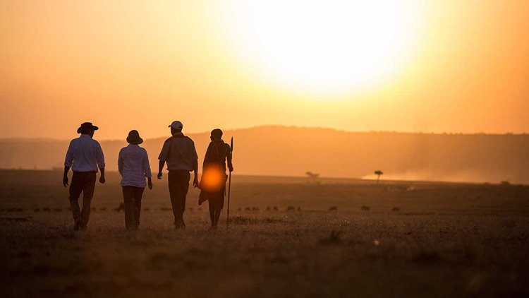 Elephant Pepper Camp by Elewana en Masai Mara