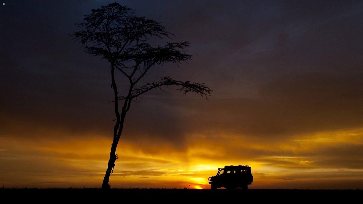 Offbeat Mara Camp en Masai Mara