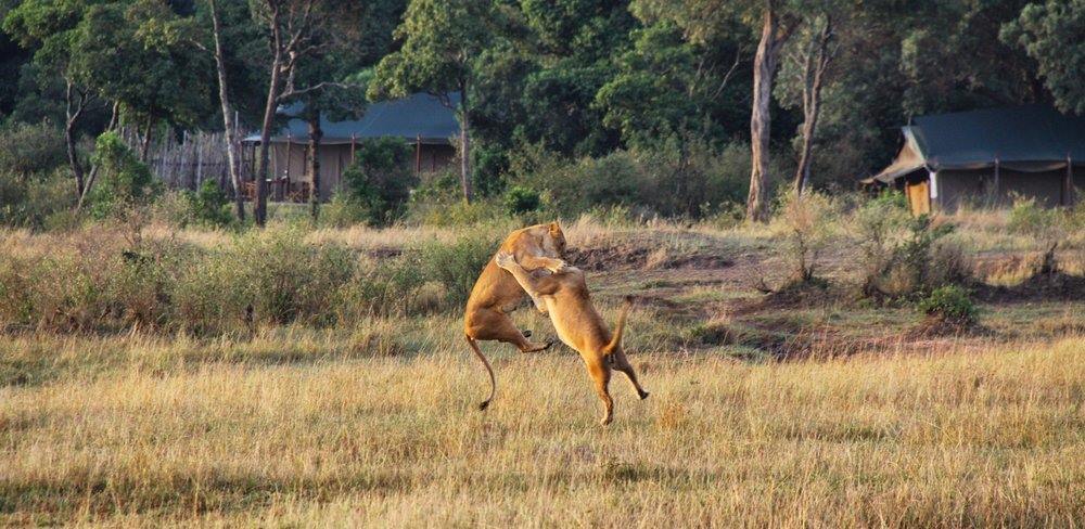 Exclusivo viaje a Laikipia, Masai Mara y Lamu diseñado por LAT.40