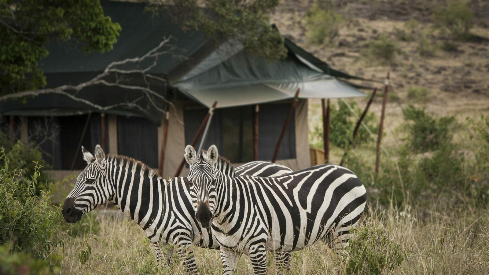 Offbeat Mara Camp en Masai Mara