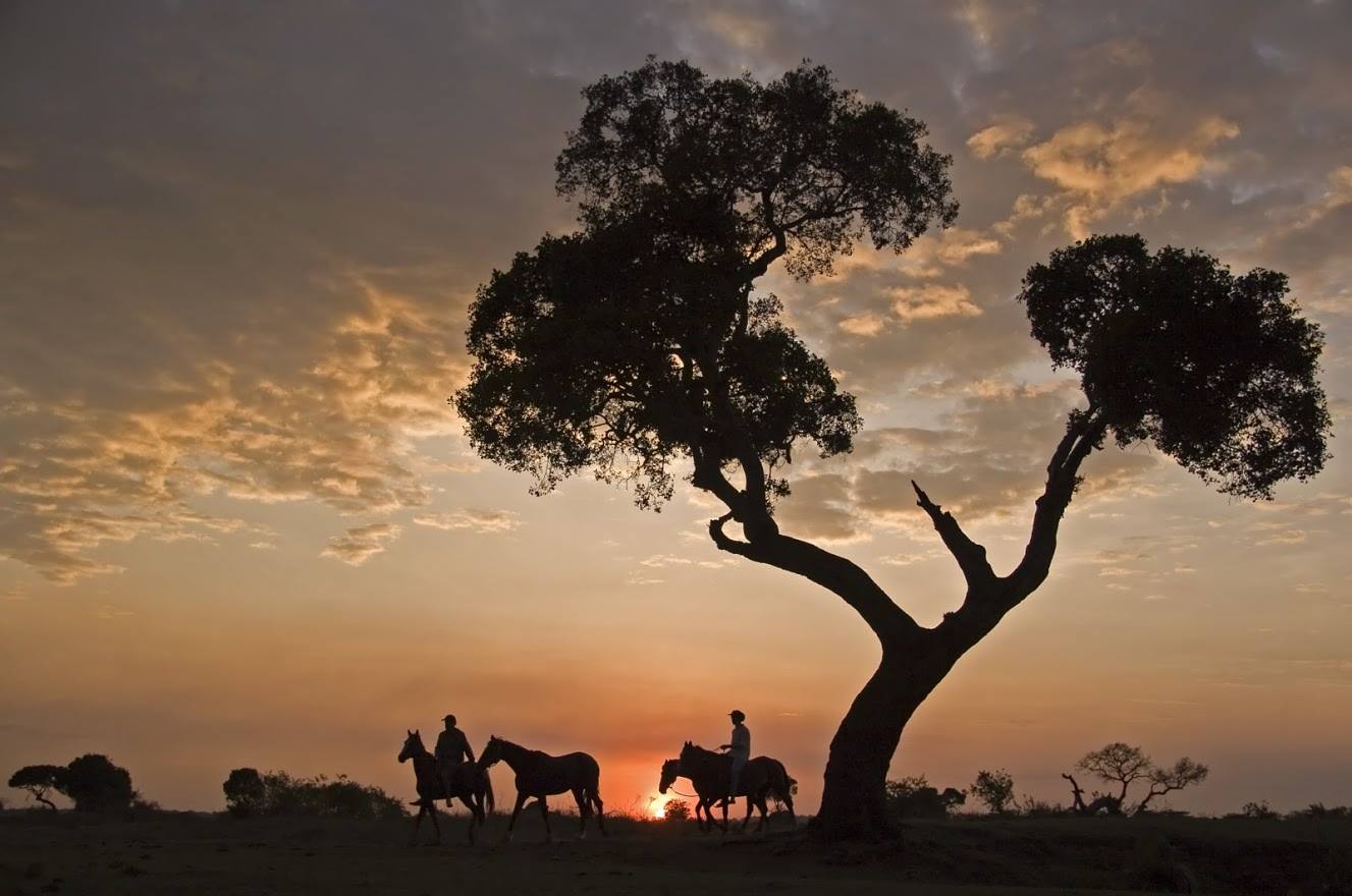 Safari a caballo en Masai Mara