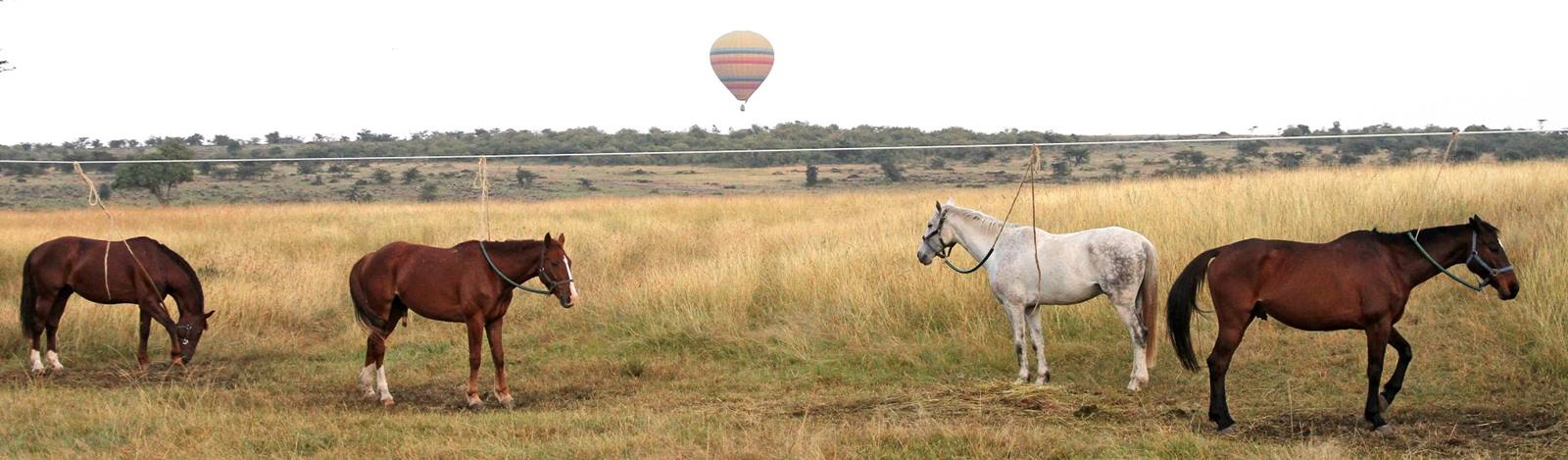 Safari a caballo en Masai Mara