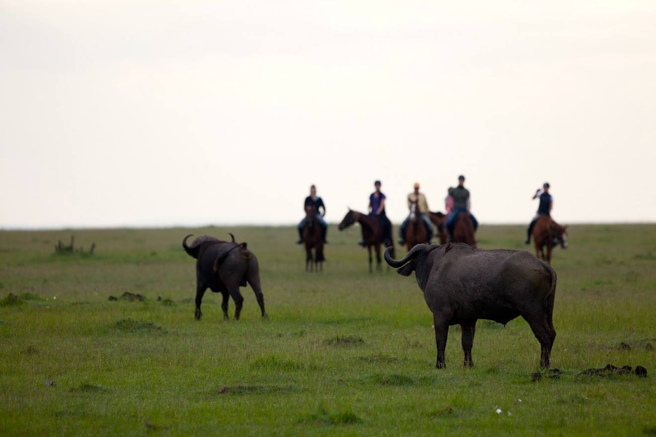Safari a caballo en Masai Mara