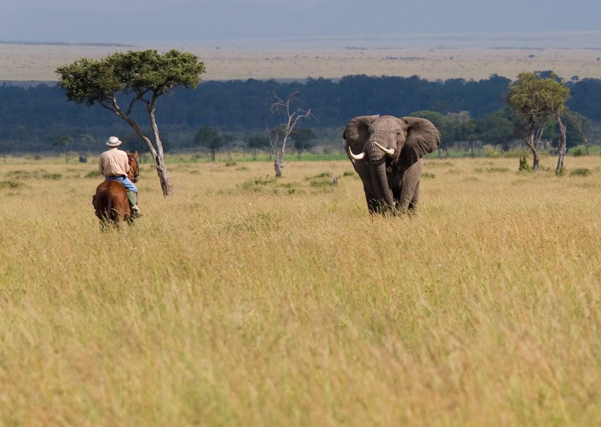 Safari a caballo en Masai Mara
