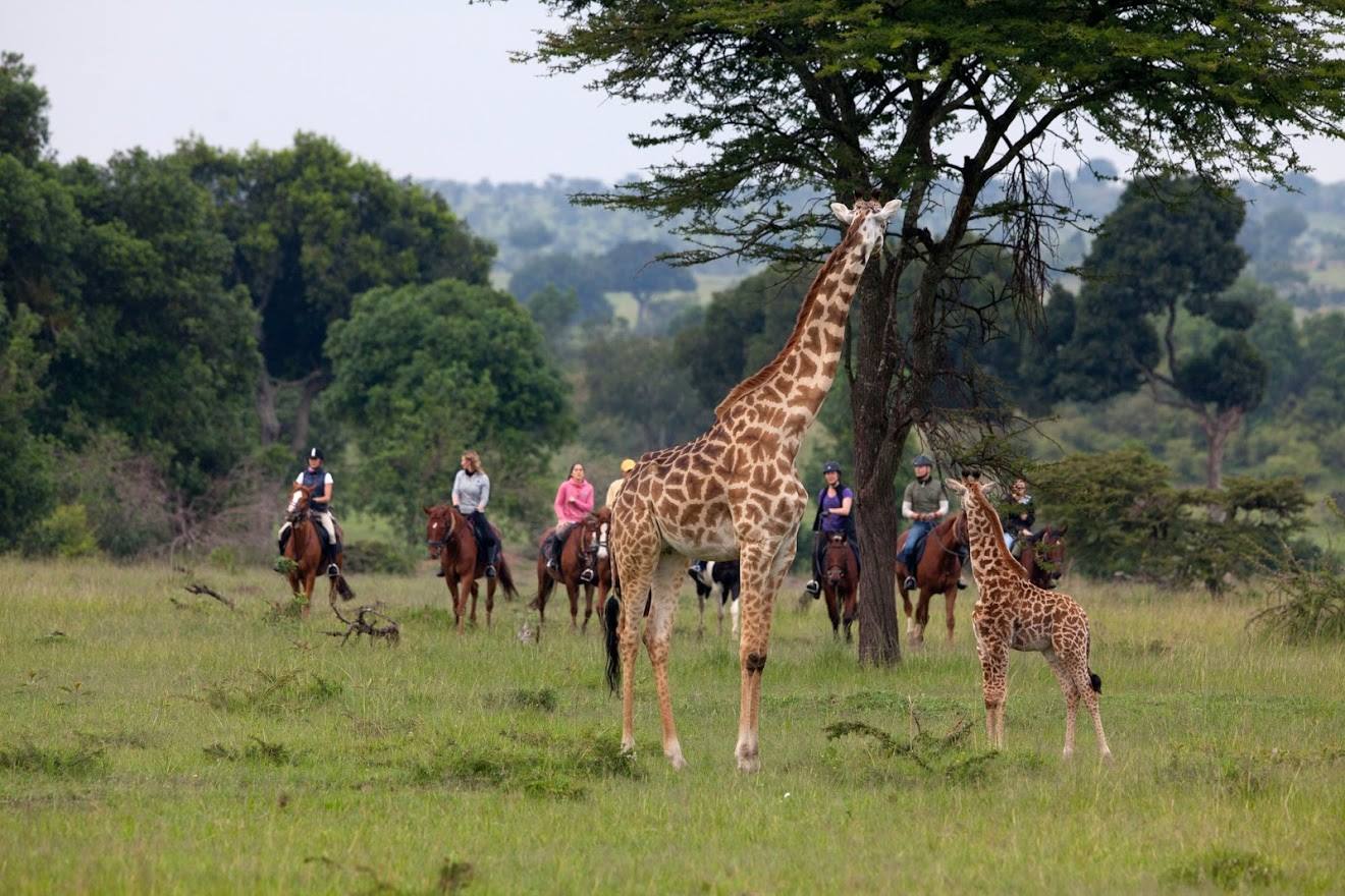 Safari a caballo en Masai Mara