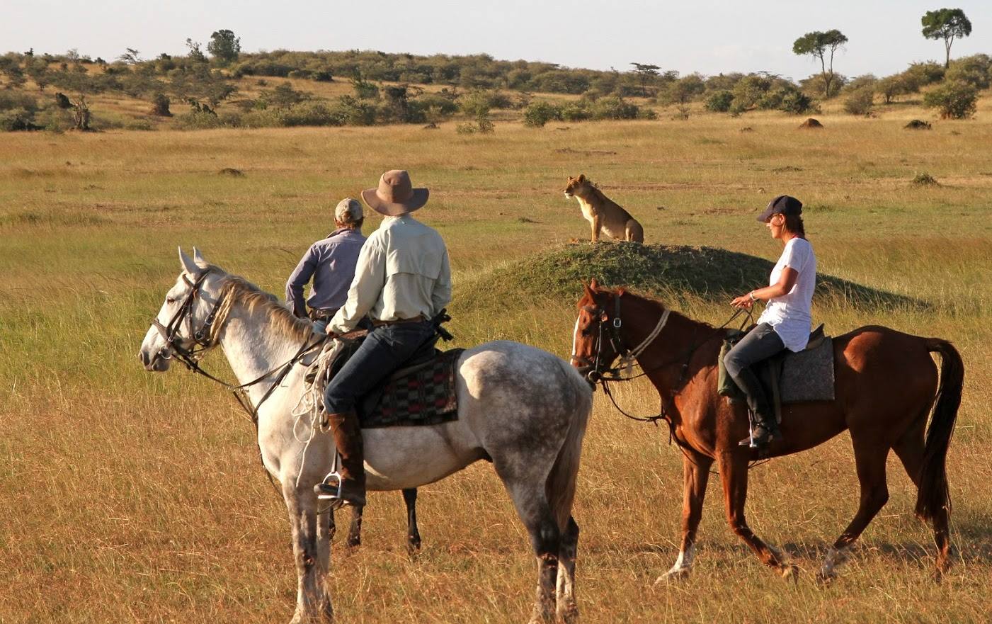 Safari a caballo en Masai Mara