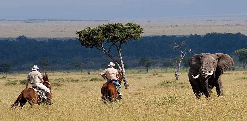 Luna de miel safari a Caballo Masai Mara y Fanjove diseñado por LAT.40