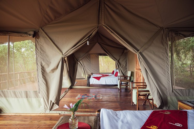 Tangulia Mara en Masai Mara