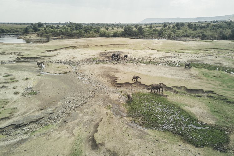 Tangulia Mara en Masai Mara