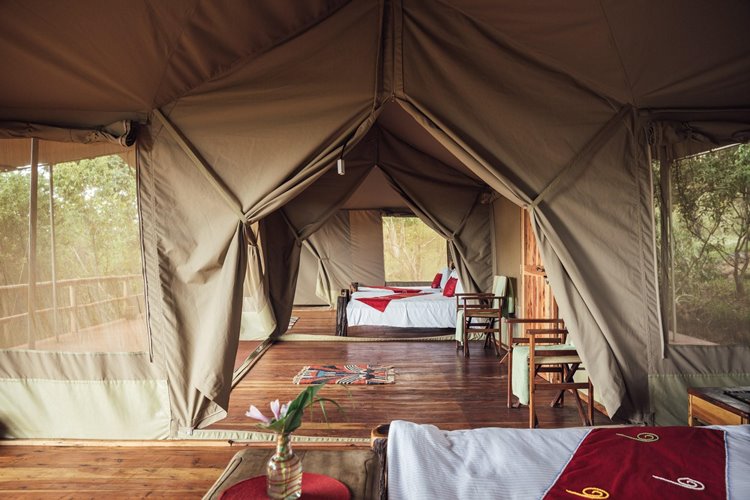 Tangulia Mara en Masai Mara
