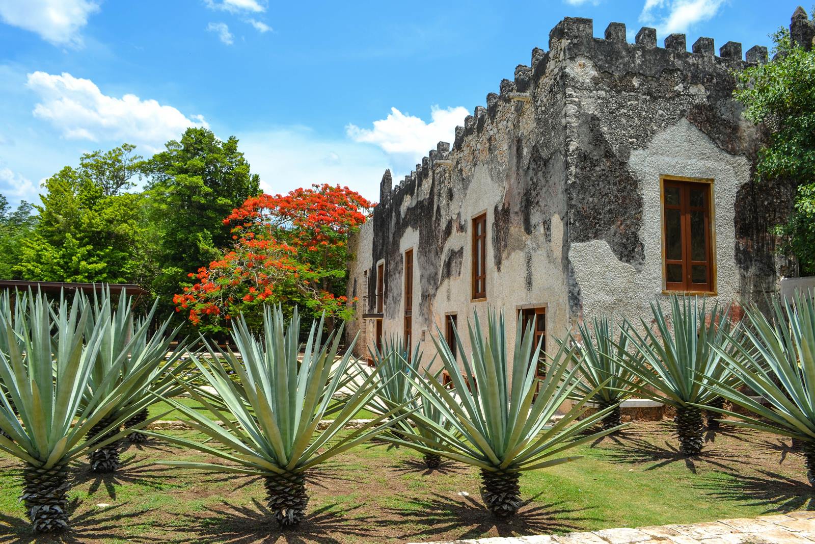 Hacienda Tamchen en Merida