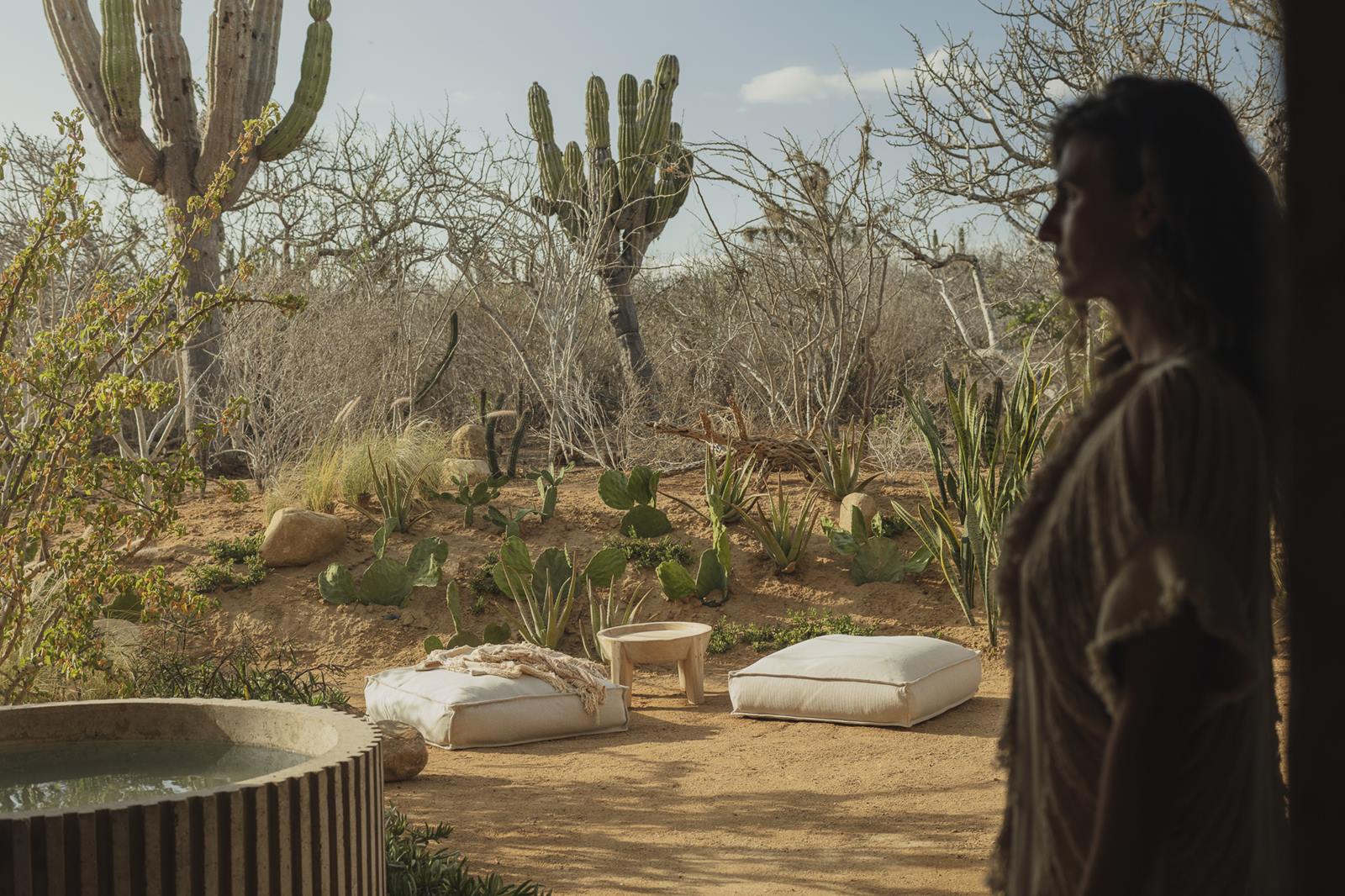 Paradero Todos Santos en Mexico