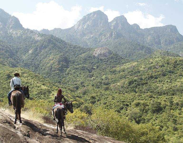 Namunyak Wildlife Conservancy | LAT.40