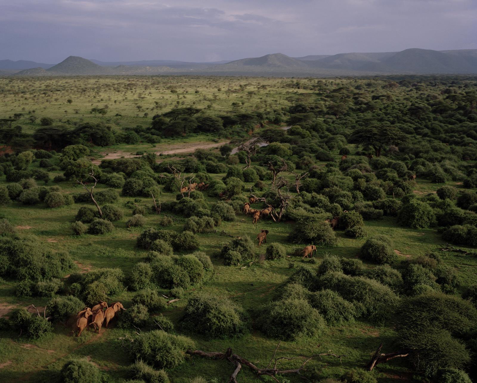 Namunyak Wildlife Conservancy | LAT.40