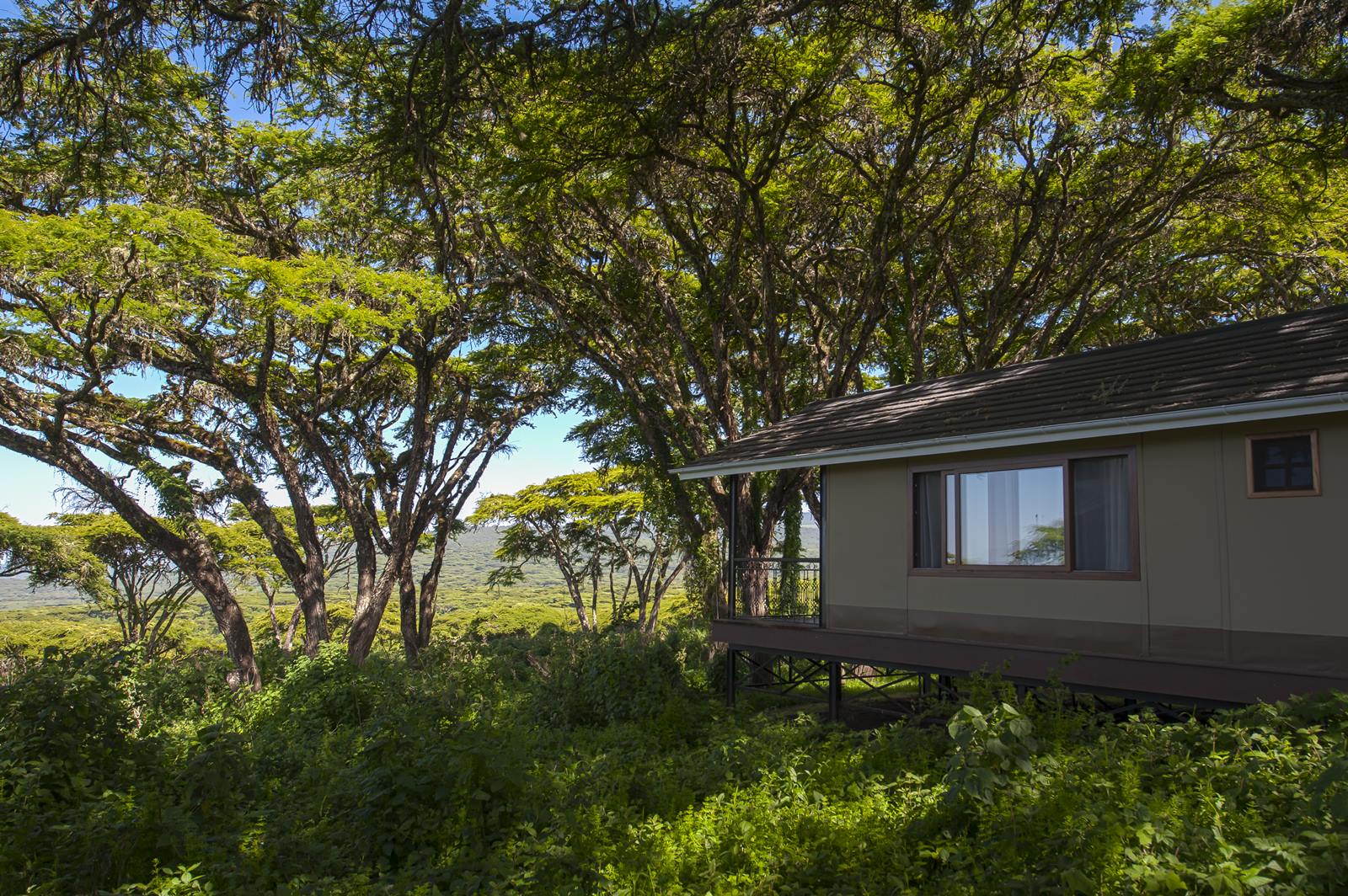 Lions Paw Camp en Ngorongoro
