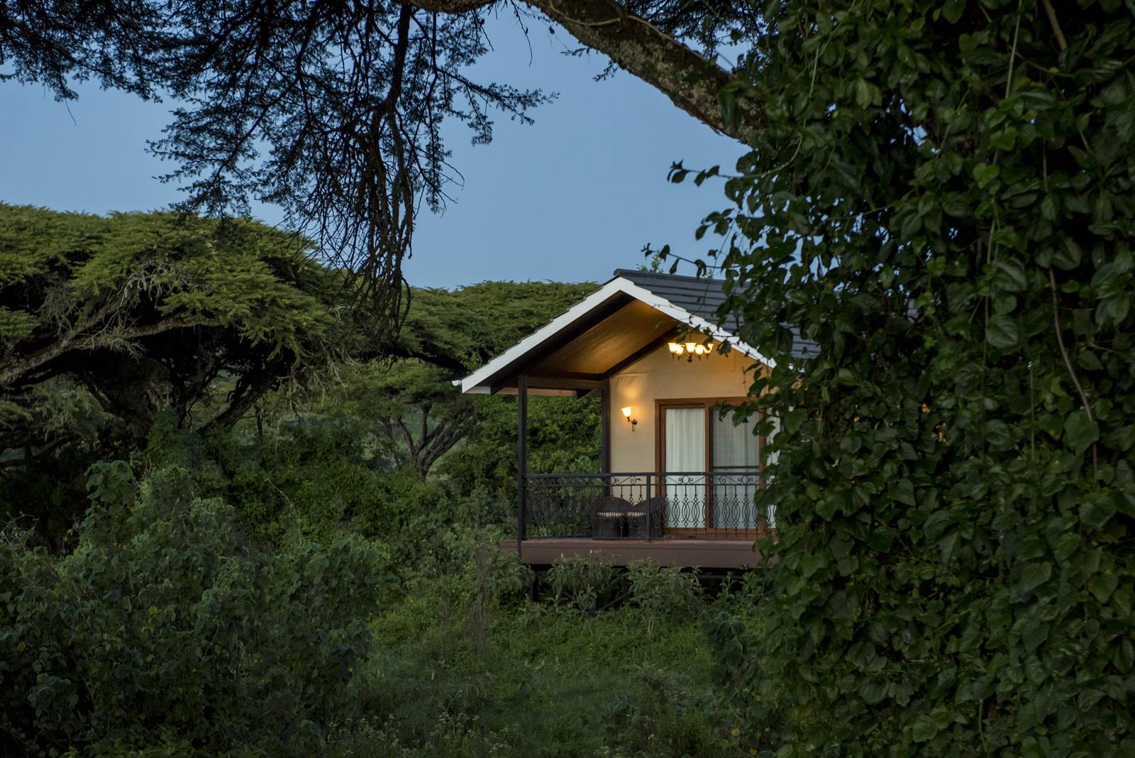 Lions Paw Camp en Ngorongoro